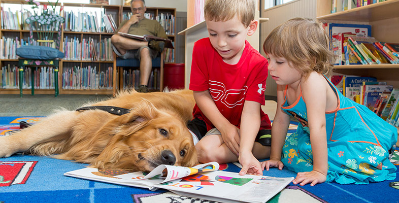 Dogs in the Library? Yes! And One of Them is a Regular Friday Volunteer