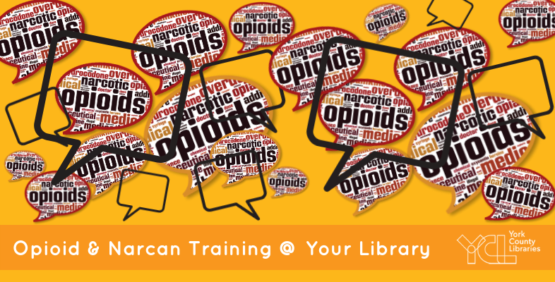 Opioid addiction training