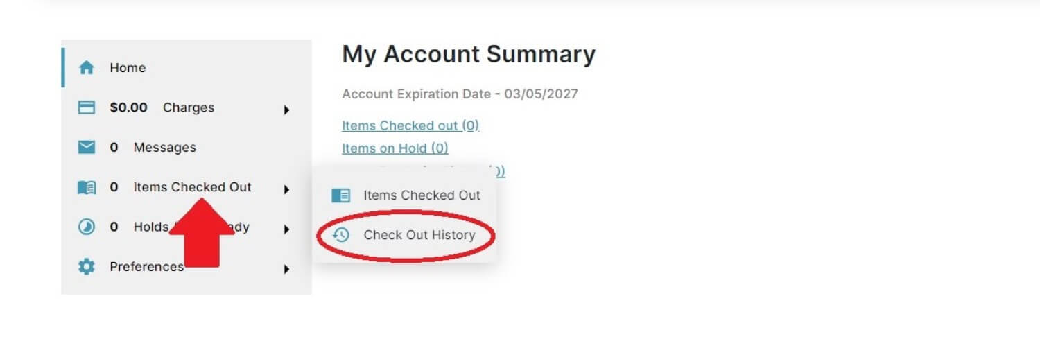 Checkout History Screenshot