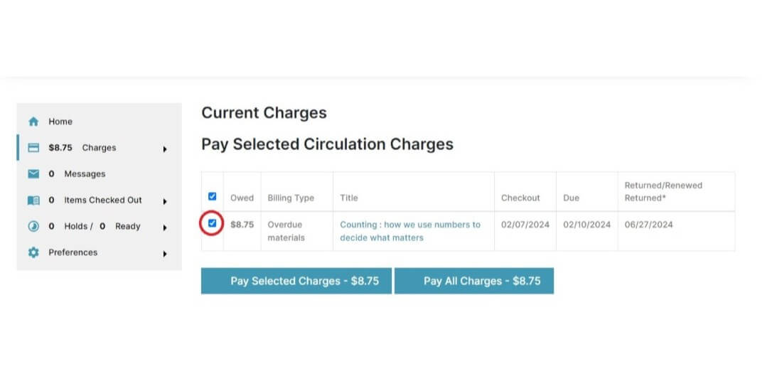 Pay Fines Online Chilipac Screenshot